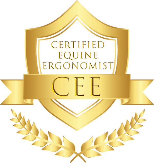 Education - Saddlefit 4 Life Academy