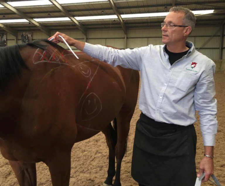 jochen-schleese-saddle-fitting-course-certified-equine-ergonomist