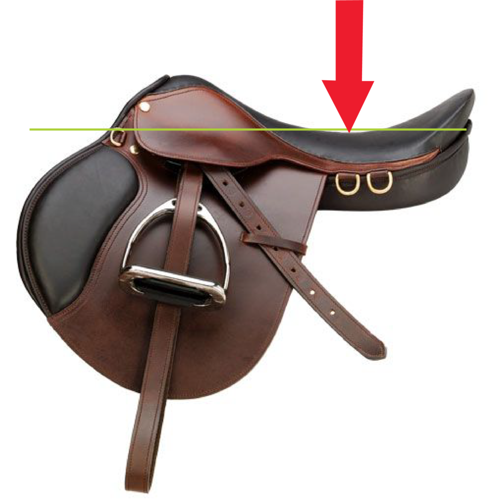 Male vs Female Rider In the Saddle Consequences Saddlefit 4 Life