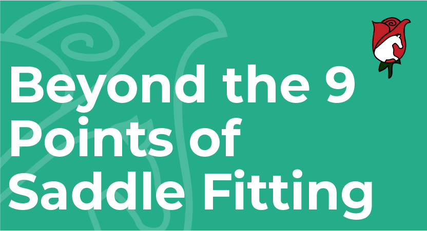 Beyond the  9 Points of Saddle Fit
