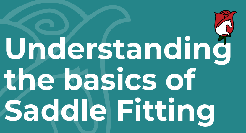 Understanding Saddle Fitting Basics