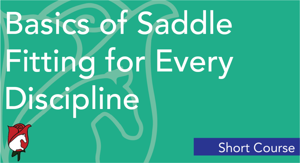 understanding-saddle-fitting-basics-saddlefit-4-life-academy