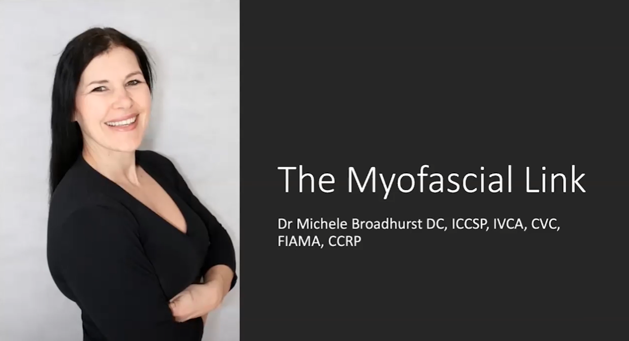 The Myofascial Link