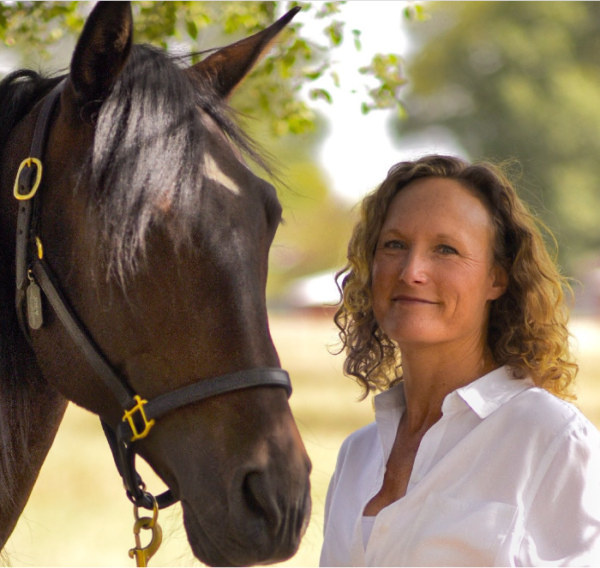 Certified Equine Ergonomist Saddle Fitting Education Saddlefit 4 Life