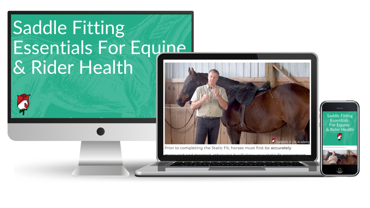 Saddle Fitting Essentials for Equine & Rider Health Saddlefit 4 Life Academy