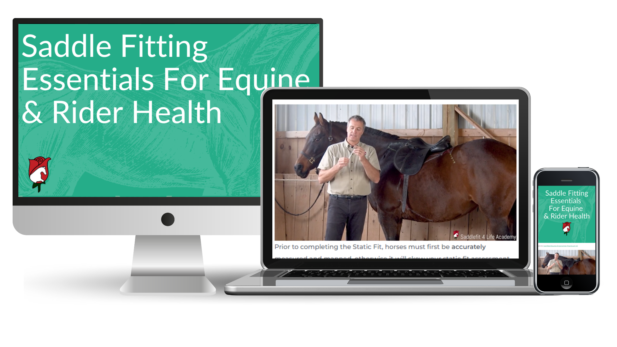 Saddle Fitting Essentials for Equine & Rider Health Saddlefit 4 Life