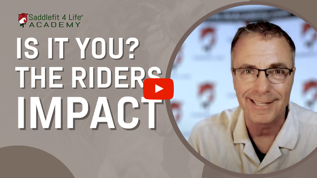 Is It You? The Riders Impact When It Comes To Saddle Fit Saddlefit 4(00)
