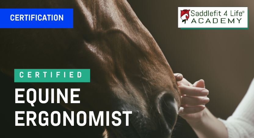 Certified Equine Ergonomist