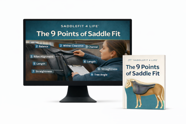 9 Points Of Saddle Fit Masterclass